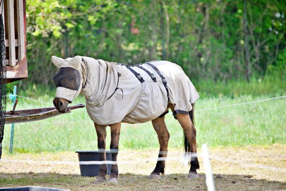 Unveiling the Secret to Fly-Free Horses – The Power of Fly Sheets!