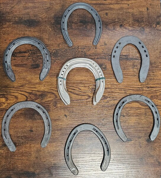 A Guide to Horse Shoes: Types, Benefits, and Maintenance