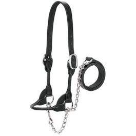 Cattle Show Halter, Black Bridle Leather, Large, 20-In. Chain x 36-In. Lead