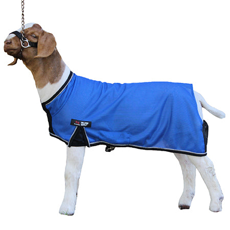 Sullivan's Cool Tech Goat Blanket