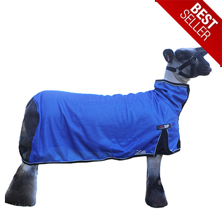 Sullivan's Cool Tech Sheep Blanket