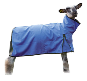 Weaver Sheep Blanket, Mesh Butt