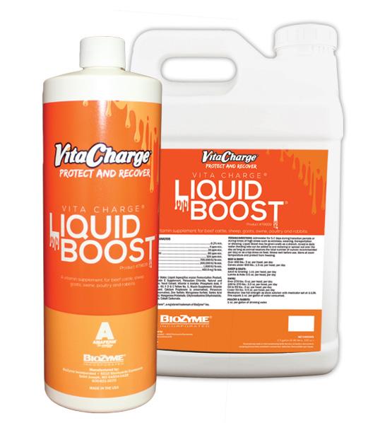 Biozyme Vita Charge Liquid Boost